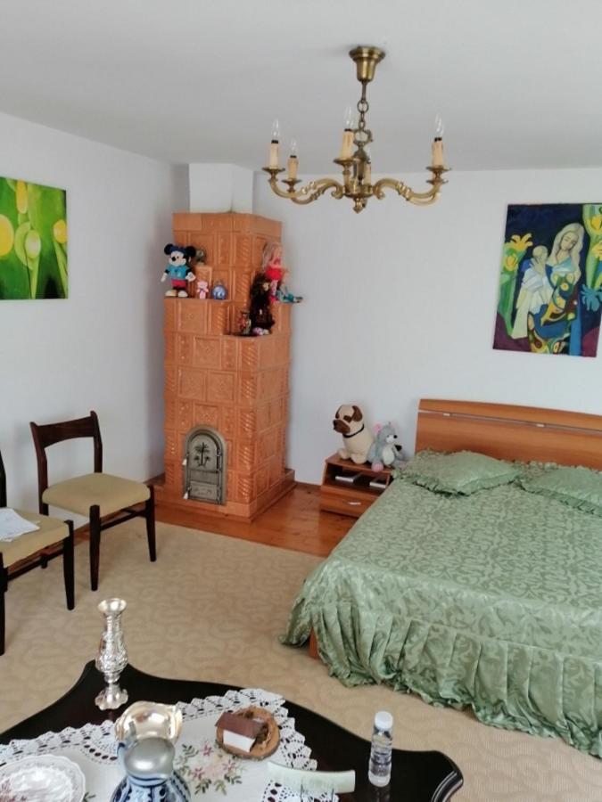 Casa Ilea -Agapia Villa Kültér fotó