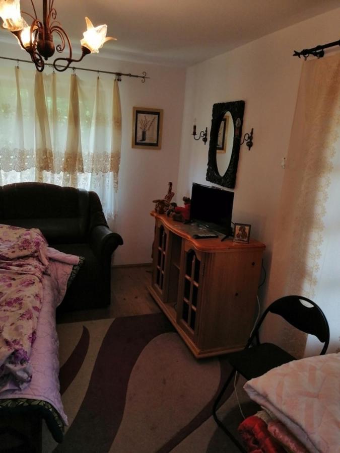 Casa Ilea -Agapia Villa Kültér fotó
