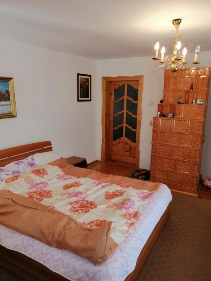 Casa Ilea -Agapia Villa Kültér fotó