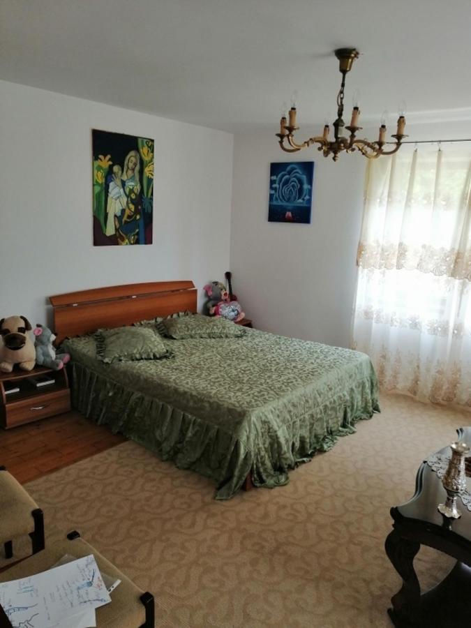 Casa Ilea -Agapia Villa Kültér fotó