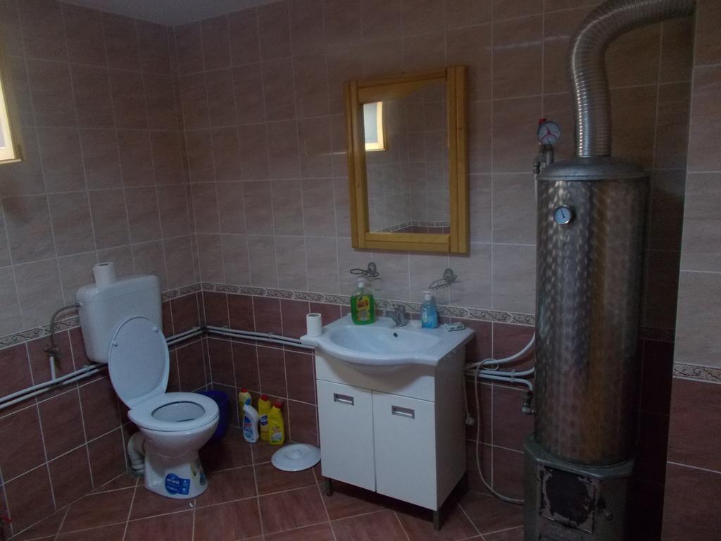 Casa Ilea -Agapia Villa Kültér fotó